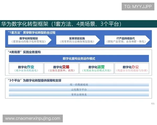 新普京平台：推动国家数字化转型的重要战略支撑