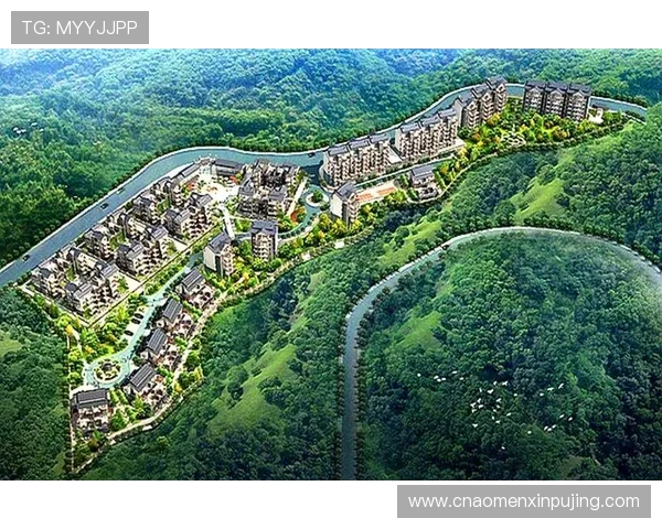 新莆京9486：最新版本更新内容及未来功能规划全面解读