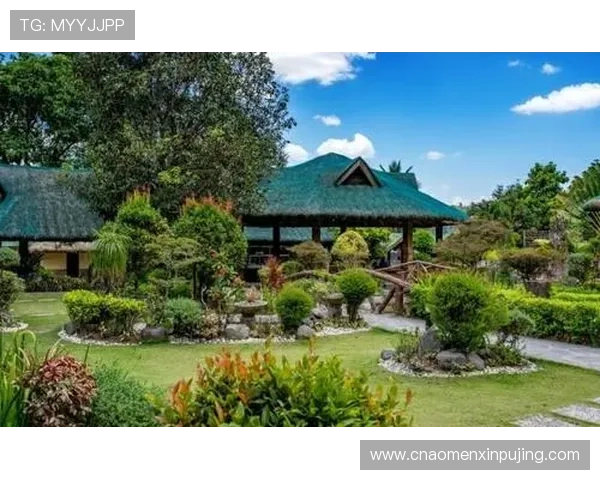 新葡萄娱乐城官网下载：快速下载安装流程让你轻松开启娱乐之旅