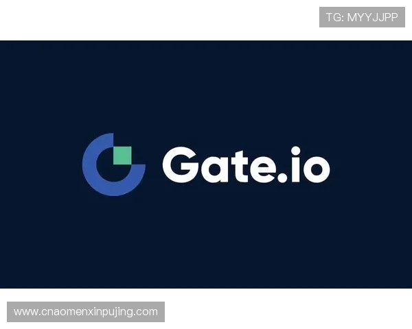 澳门新京旗舰厅官方地址访问指南，详细步骤帮助新手快速进入官方平台