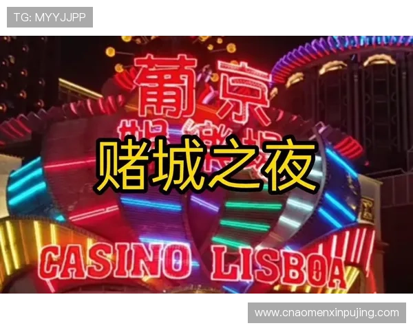 探索葡京娱乐的丰富游戏资源与多样化娱乐体验，满足不同玩家的个性化需求