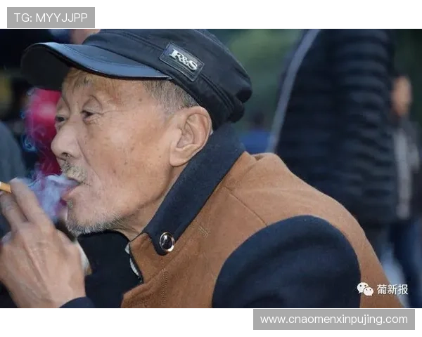 新葡的京集靠谱吗：从注册流程到资金保障，全面解析平台的可靠性与安全保障措施