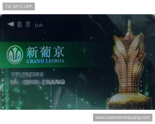 澳门新葡京app下载官方入口，确保安全无病毒的游戏下载体验