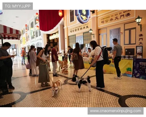 葡京人：揭秘澳门葡京人群体的生活方式与职业选择