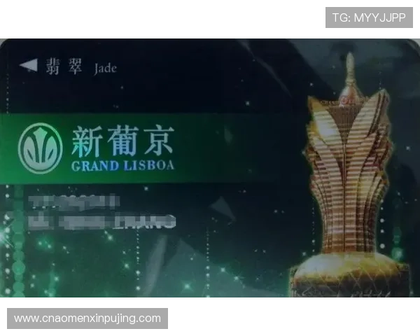 奥门新葡京娱乐城最新优惠活动全面解析助你轻松赢取丰厚奖励