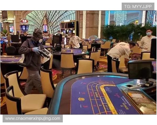 葡京娱乐场全面解析：如何选择最安全可靠的线上娱乐平台